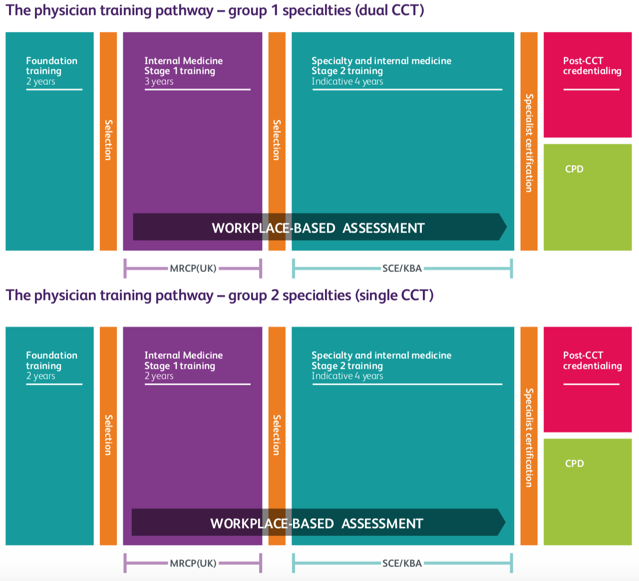 imt_training_pathway.png