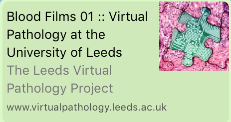 virtual_path_logo.jpg
